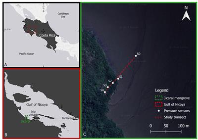 Integrated drag coefficient formula for estimating the wave attenuation capacity of Rhizophora sp. mangrove forests